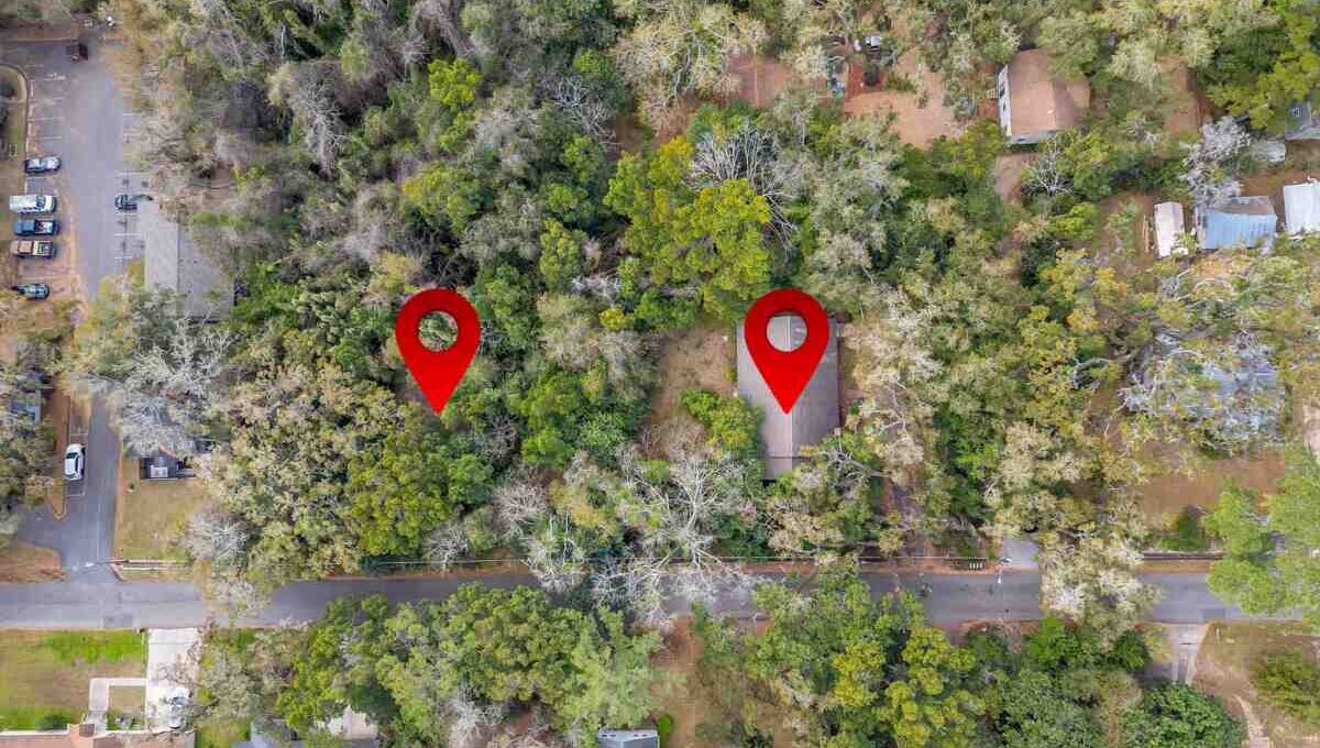 Untitled design (20)