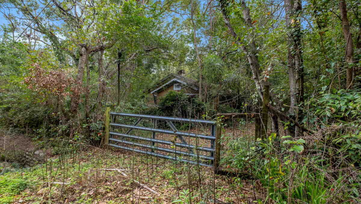 large-019c9b6e-9df2-72cb-a8ea-cd815a96c096