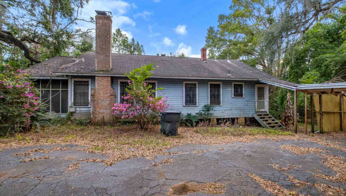 large-019c9b6e-9eae-71a4-9c88-f4e11abdbcf6